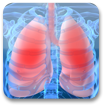 Sistema Endocrino