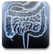 Sistema Respiratorio